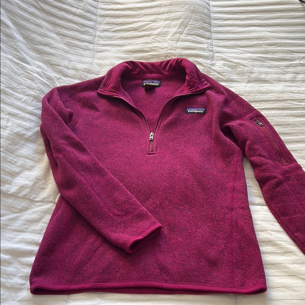 Patagonia Quarter-Zip Fleece Pullover
